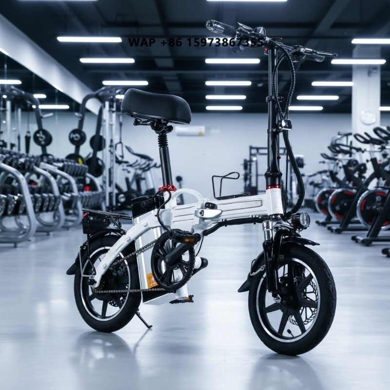 Mini Folding Electric Bike Fac - đánh giá và giá Commuting With Bike